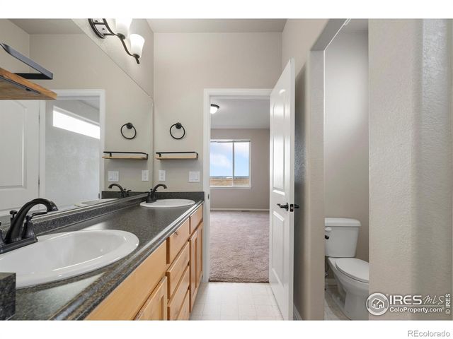 1319 Chamois Drive, Severance, CO 80550