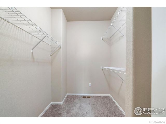 1319 Chamois Drive, Severance, CO 80550