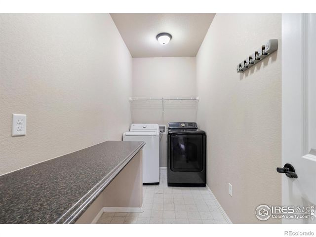 1319 Chamois Drive, Severance, CO 80550