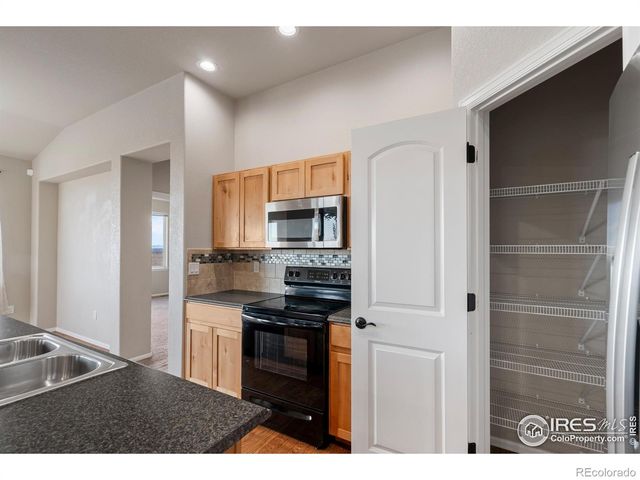 1319 Chamois Drive, Severance, CO 80550