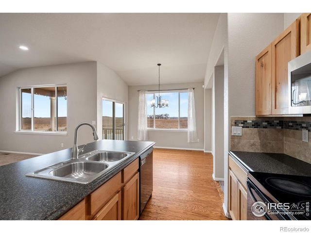 1319 Chamois Drive, Severance, CO 80550