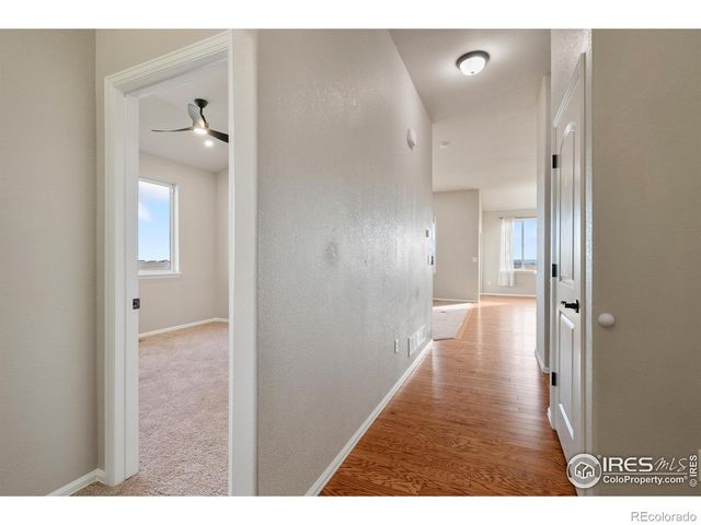 1319 Chamois Drive, Severance, CO 80550