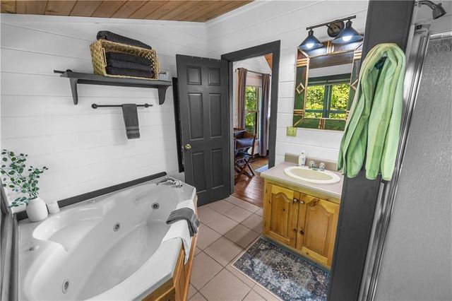 832 Scenic Mountain View Road, Blue Ridge, GA 30513