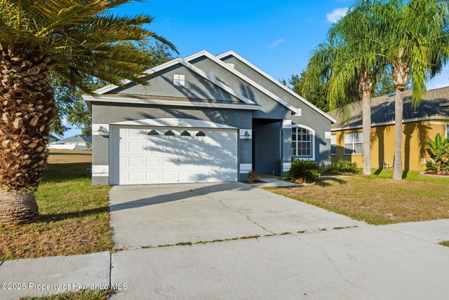 14335 Holly Hammock Lane, Brooksville, FL 34613