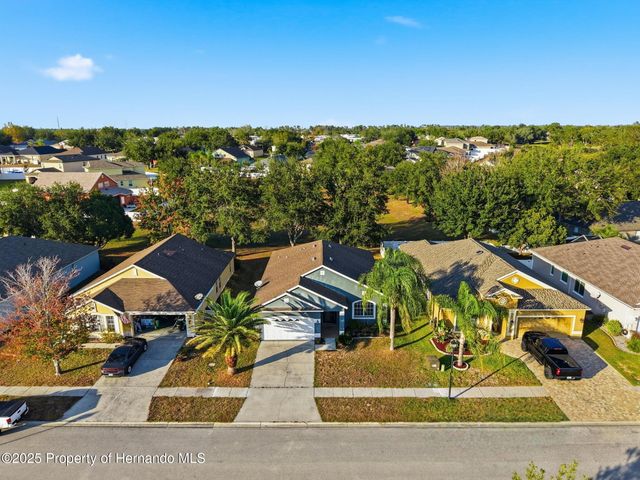 14335 Holly Hammock Lane, Brooksville, FL 34613