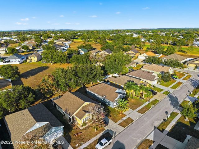 14335 Holly Hammock Lane, Brooksville, FL 34613
