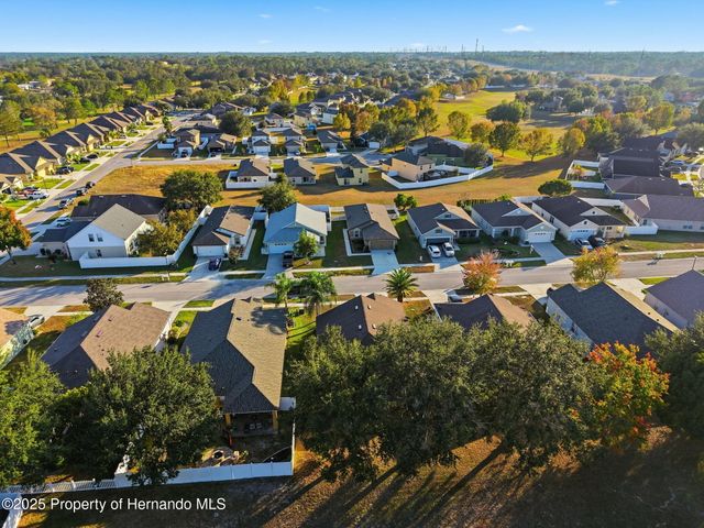 14335 Holly Hammock Lane, Brooksville, FL 34613