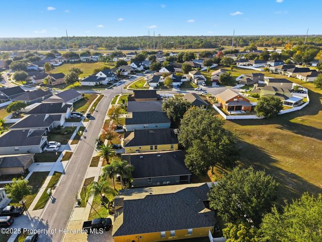 14335 Holly Hammock Lane, Brooksville, FL 34613