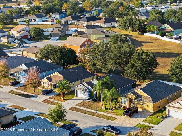 14335 Holly Hammock Lane, Brooksville, FL 34613