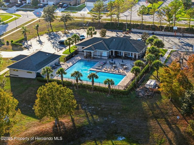 14335 Holly Hammock Lane, Brooksville, FL 34613