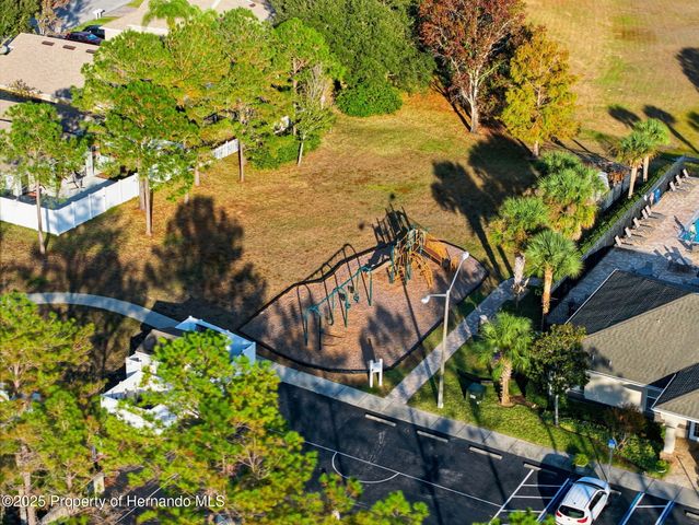 14335 Holly Hammock Lane, Brooksville, FL 34613