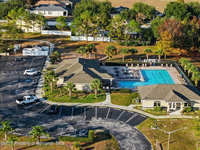 14335 Holly Hammock Lane, Brooksville, FL 34613