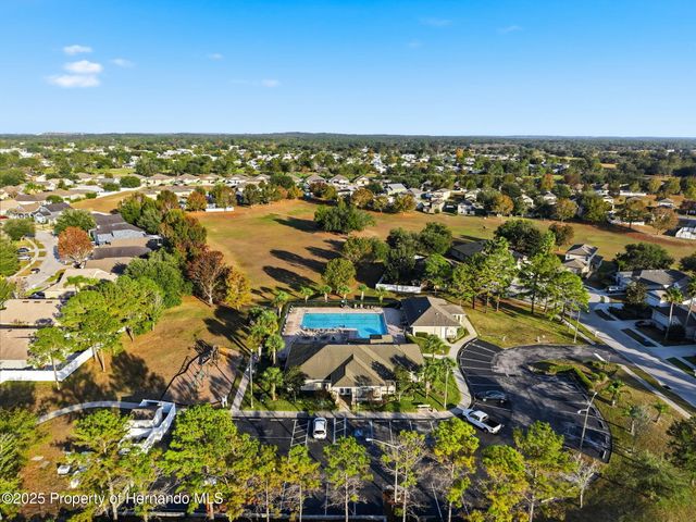 14335 Holly Hammock Lane, Brooksville, FL 34613