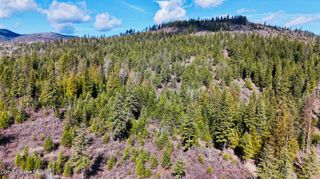 NKA N Whittum RD, Priest River, ID 83856