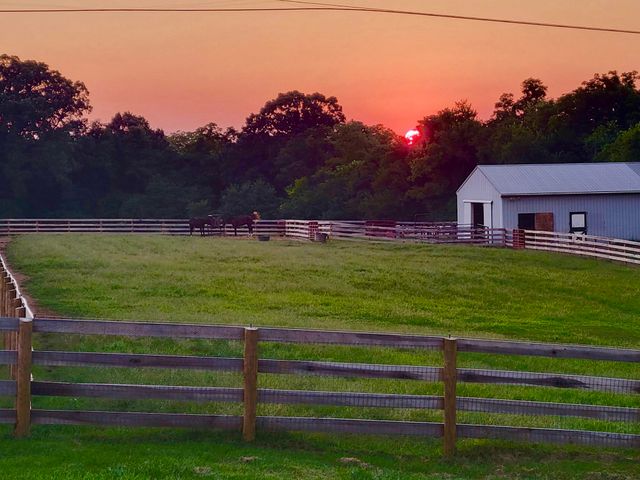 337 Collins Road, Paris, KY 40361