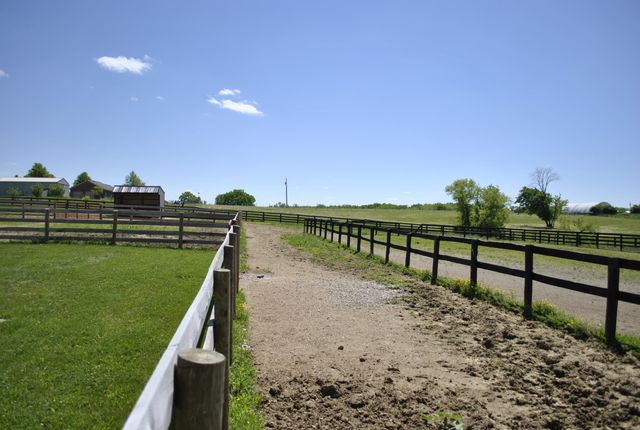 337 Collins Road, Paris, KY 40361