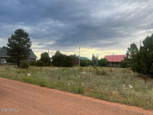 2222 SITGREAVES Drive 270, Overgaard, AZ 85933