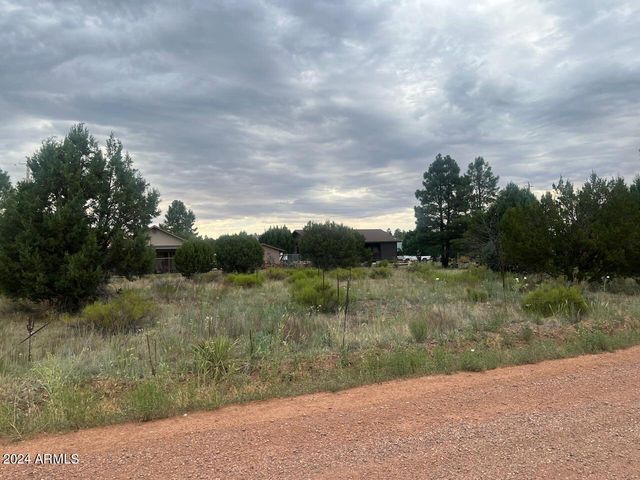 2222 SITGREAVES Drive 270, Overgaard, AZ 85933