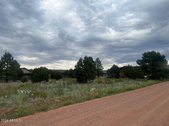 2222 SITGREAVES Drive 270, Overgaard, AZ 85933