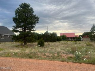 2222 SITGREAVES Drive 270, Overgaard, AZ 85933