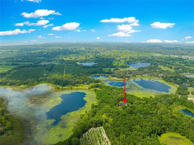 17150 SE 168TH TERRACE, Weirsdale, FL 32195