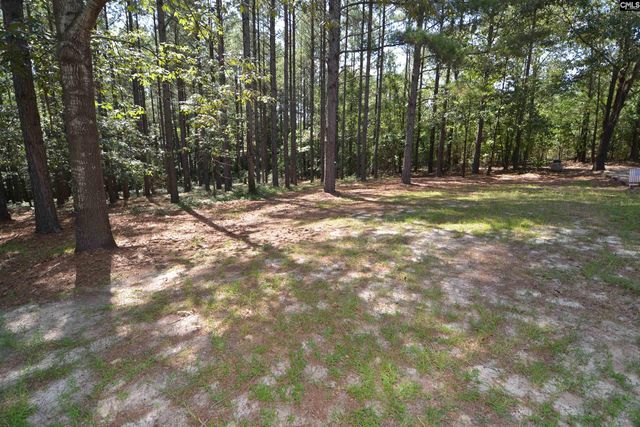 1885 Lake Elliott Road, Cassatt, SC 29032