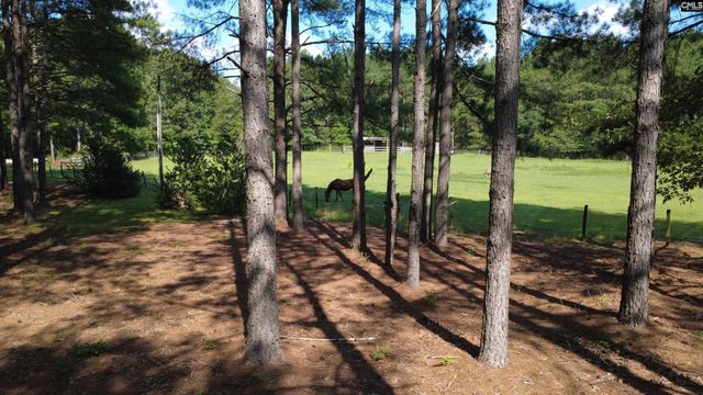 1885 Lake Elliott Road, Cassatt, SC 29032