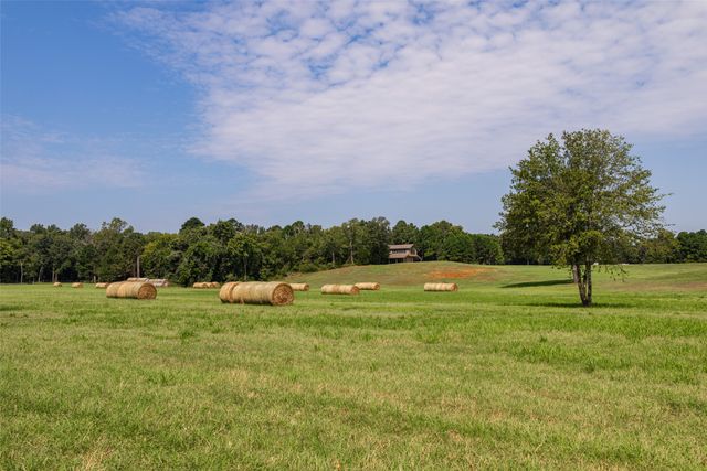 1323 An County Road 153, Palestine, TX 75801