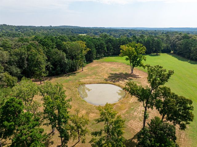 1323 An County Road 153, Palestine, TX 75801