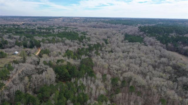 24 AC County Road 2240, Grapeland, TX 75844