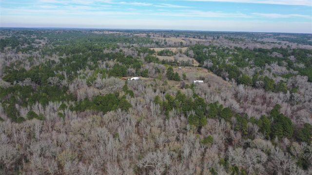 24 AC County Road 2240, Grapeland, TX 75844