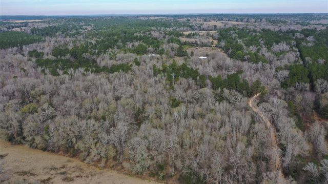 24 AC County Road 2240, Grapeland, TX 75844