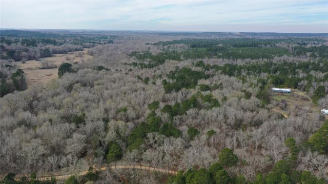 24 AC County Road 2240, Grapeland, TX 75844