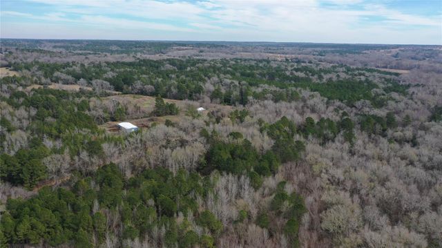 24 AC County Road 2240, Grapeland, TX 75844