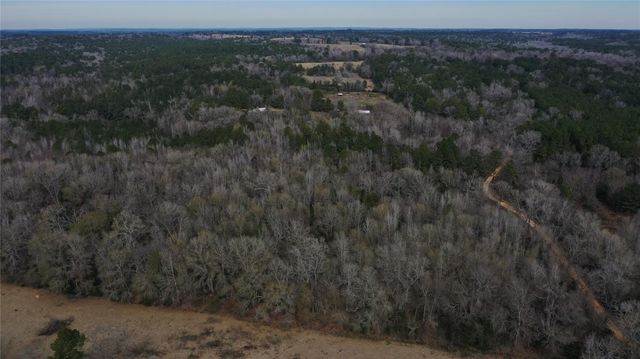 24 AC County Road 2240, Grapeland, TX 75844