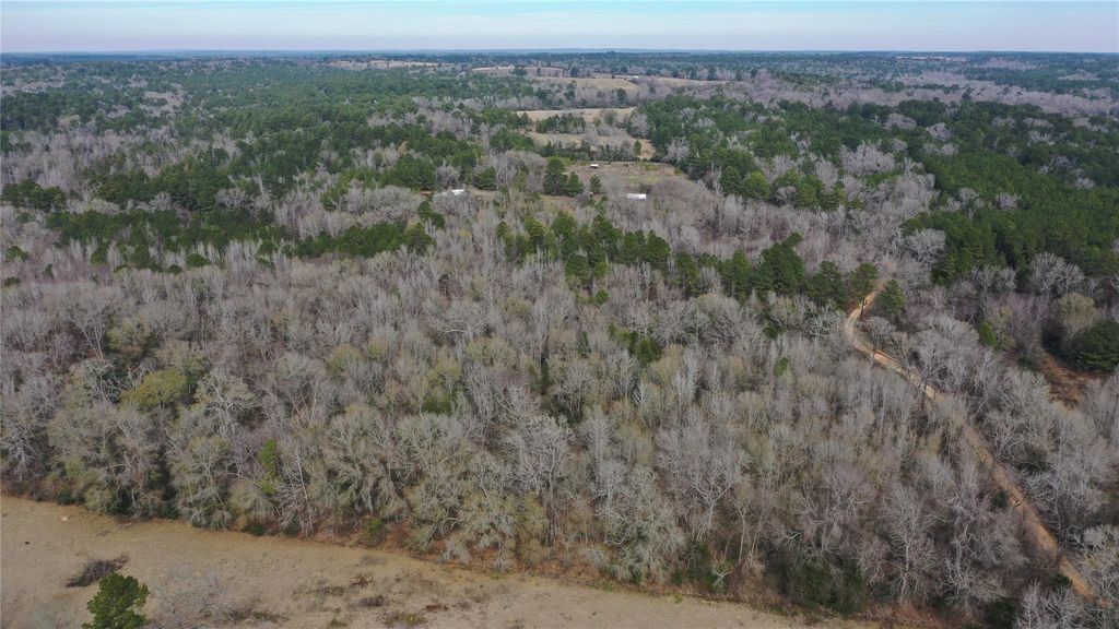 24 AC County Road 2240, Grapeland, TX 75844