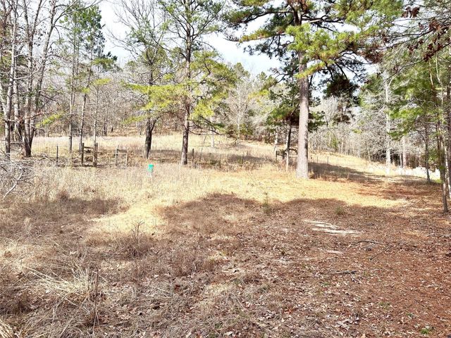 725 ACR 3197, Frankston, TX 75763