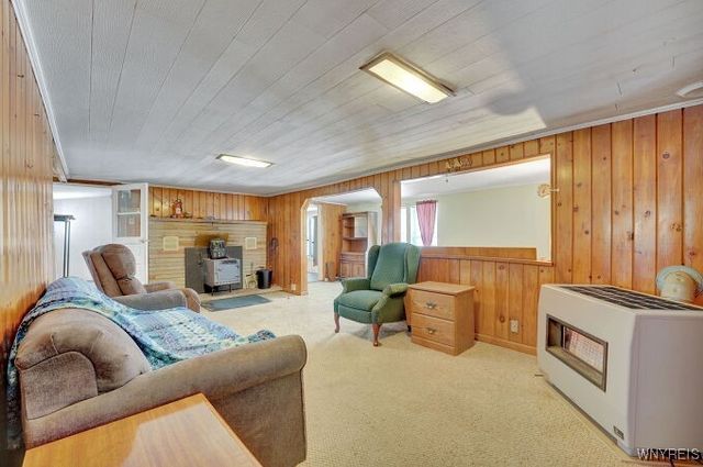 7730 Irish Hill Road, Ellicottville, NY 14171