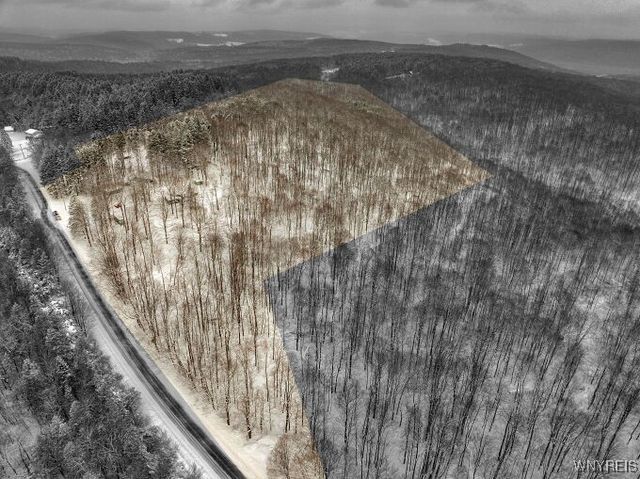 7730 Irish Hill Road, Ellicottville, NY 14171