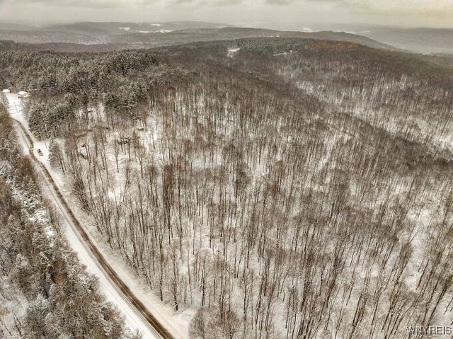 7730 Irish Hill Road, Ellicottville, NY 14171