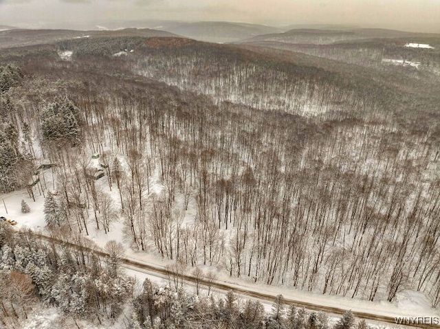 7730 Irish Hill Road, Ellicottville, NY 14171