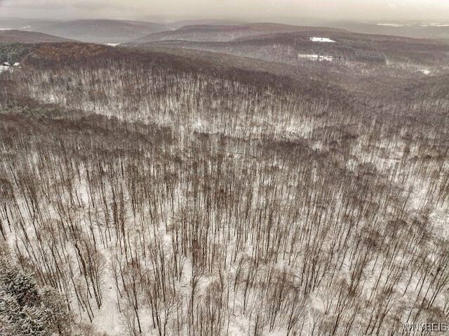 7730 Irish Hill Road, Ellicottville, NY 14171