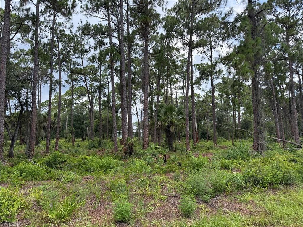 1911 McArthur AVE, LEHIGH ACRES, FL 33972 — photo 2