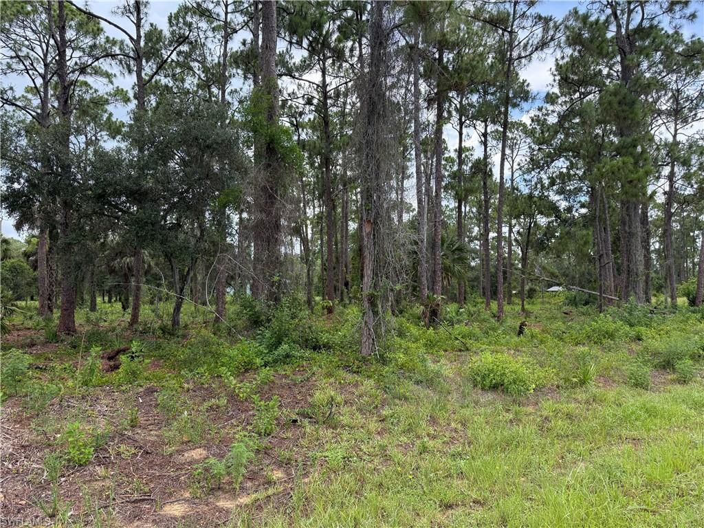 1911 McArthur AVE, LEHIGH ACRES, FL 33972 — photo 3