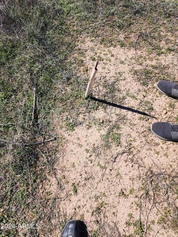 2580 S Sunland Gin Road C & D, Eloy, AZ 85131