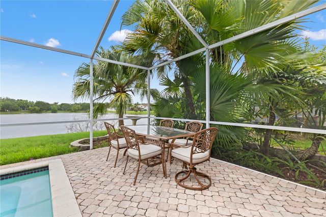 11503 WHISPERING HOLLOW DRIVE, Tampa, FL 33635