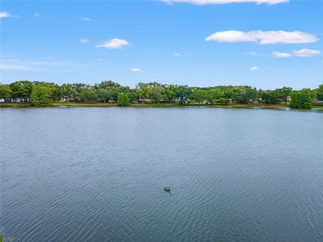 11503 WHISPERING HOLLOW DRIVE, Tampa, FL 33635