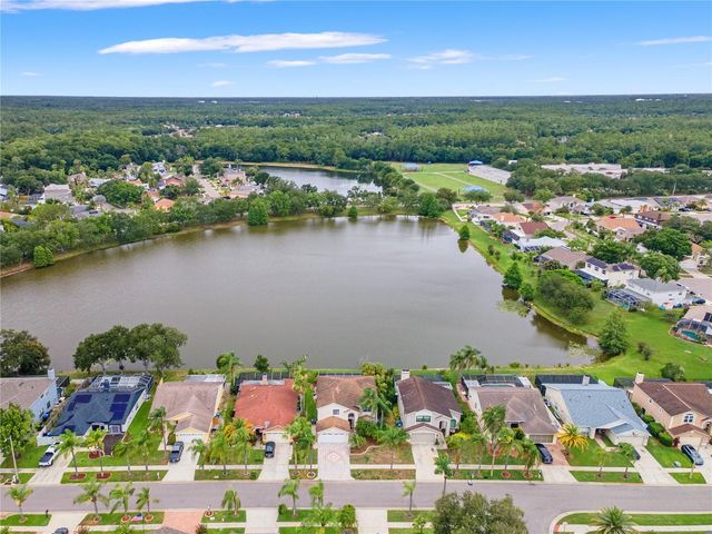 11503 WHISPERING HOLLOW DRIVE, Tampa, FL 33635