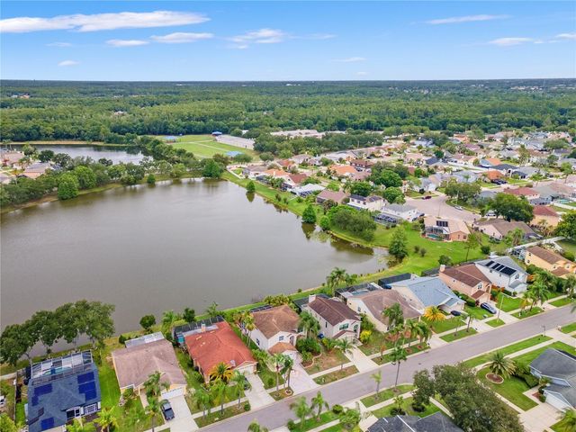 11503 WHISPERING HOLLOW DRIVE, Tampa, FL 33635