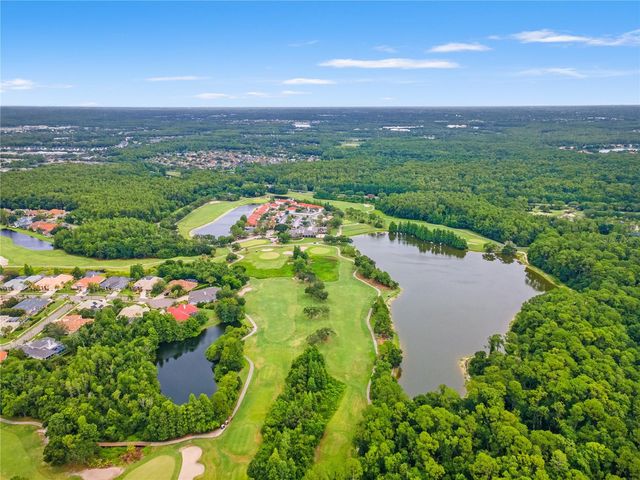11503 WHISPERING HOLLOW DRIVE, Tampa, FL 33635